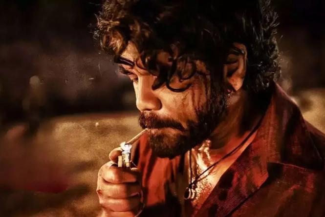 Naa Saami Ranga Trailer Review: నా సామీ రంగా ట్రైలర్ రివ్యూ!
